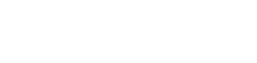 Union Audio